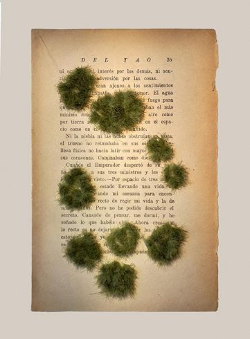 23_LIYL_libro